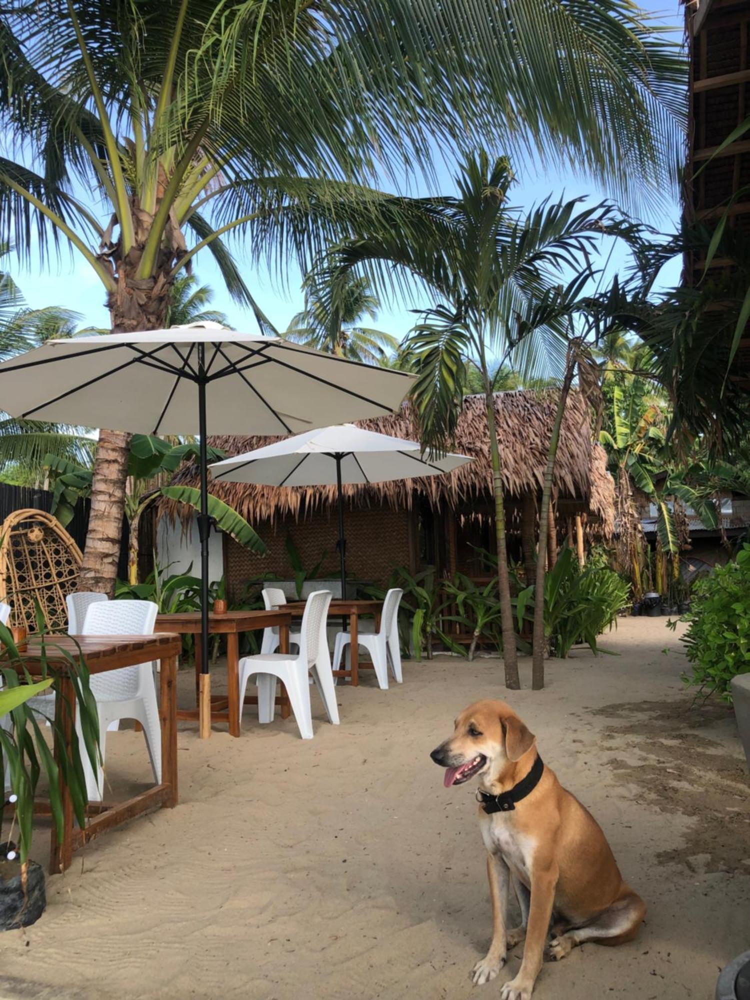 אל נידו Zhaya'S Beach & Cottages מראה חיצוני תמונה